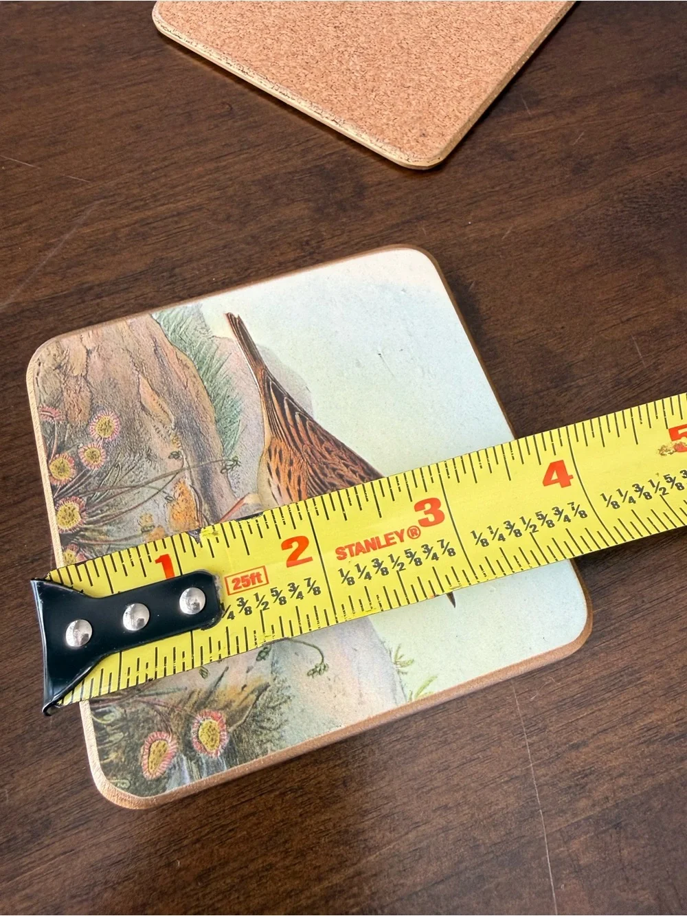 Vintage Bird Cork Back Coaster Set of 3 Cottagecore Nature Decor